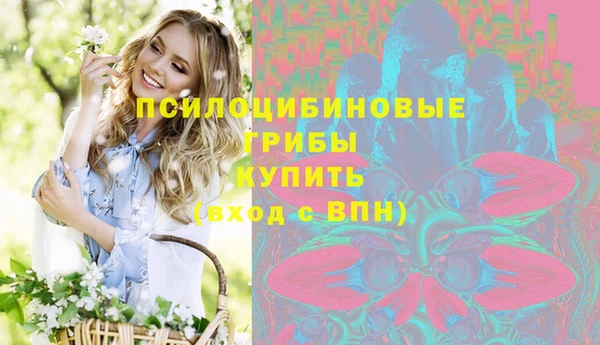 круглые Белокуриха
