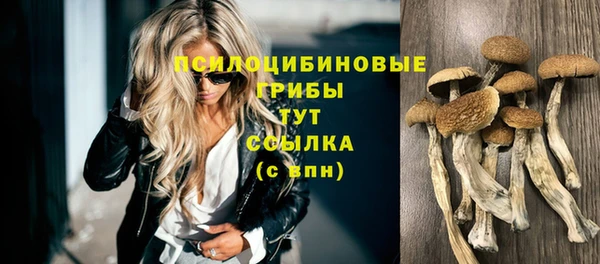 круглые Белокуриха